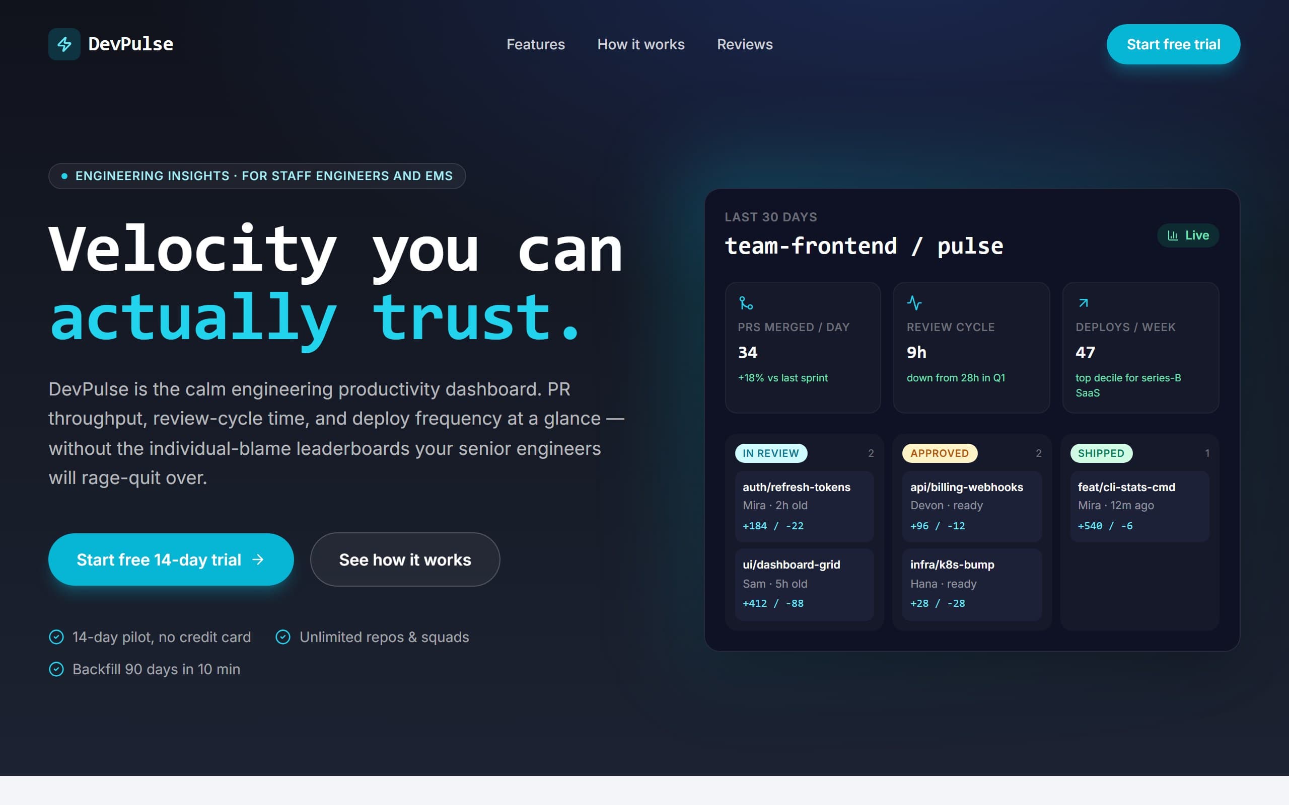 DevPulse — Developer Productivity Dashboard template preview